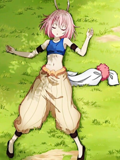 hp2D.jpeg